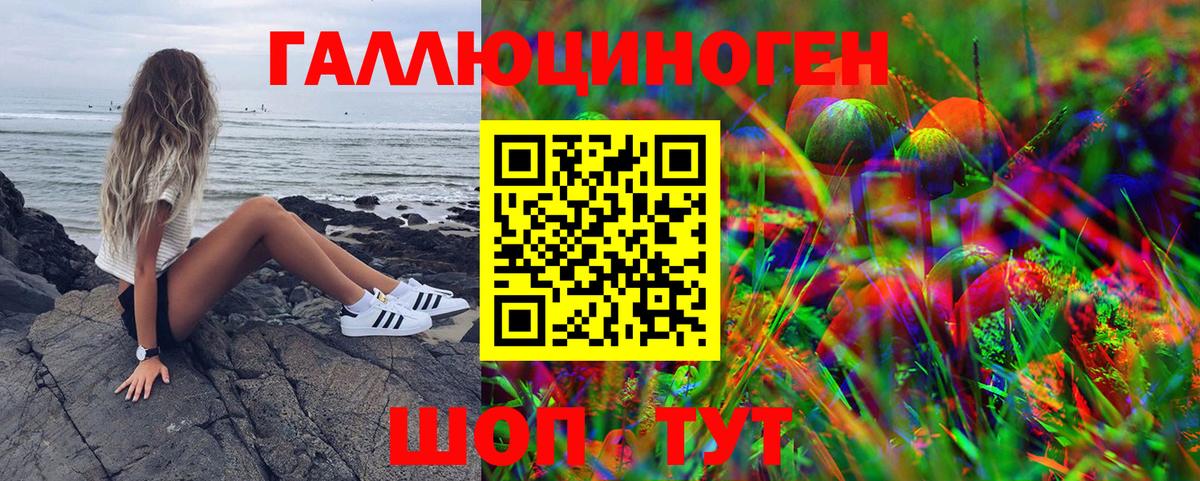 Псилоцибиновые грибы мухоморы Омск