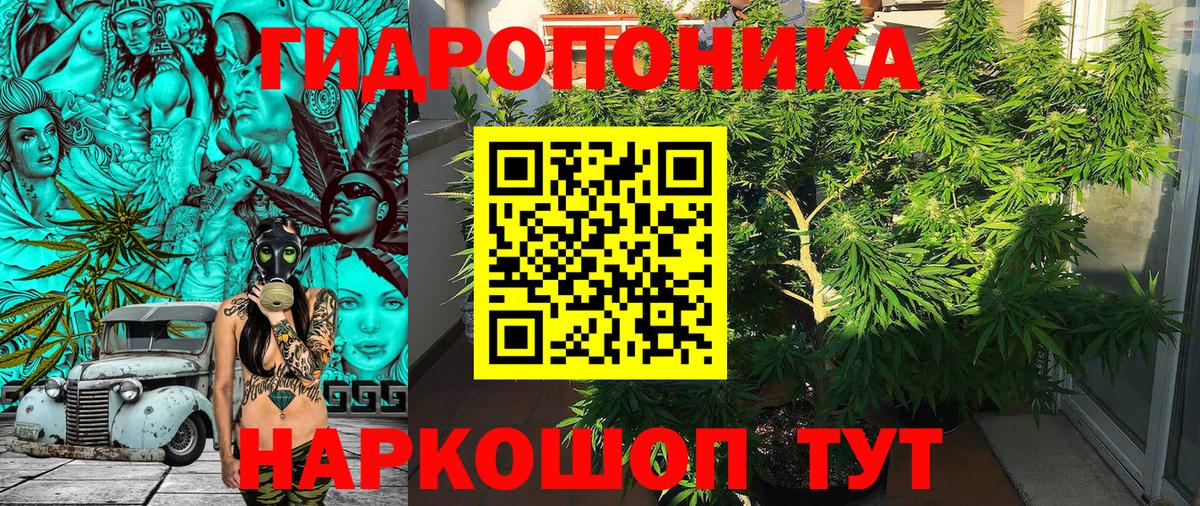 Омск  Марихуана ГИДРОПОН  Марихуана ГИДРОПОН  Каннабис AK-47  Вход с VPN  МАРИХУАНА конопля 